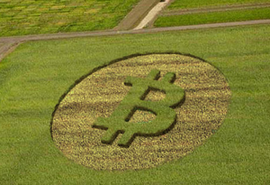 Bitcoin crops